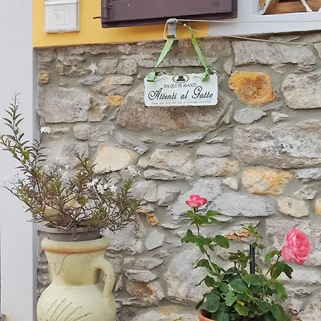 Toringo * Capannori