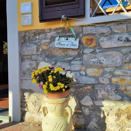 Toringo 4* Капаннори
