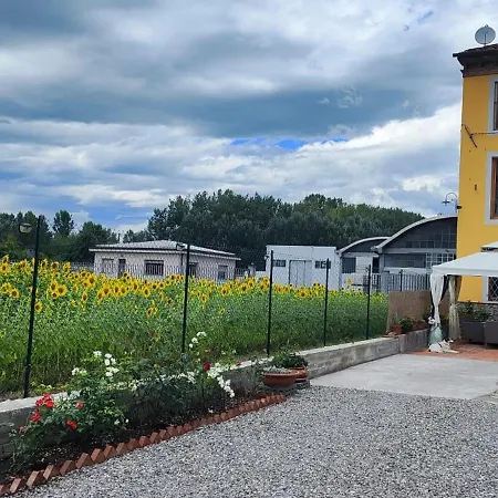 Toringo 4* Капаннори